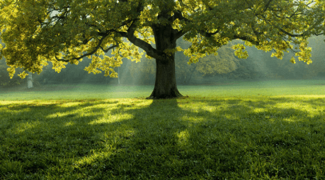 Remove Watermark From Photos Online Free AI Watermark Remover